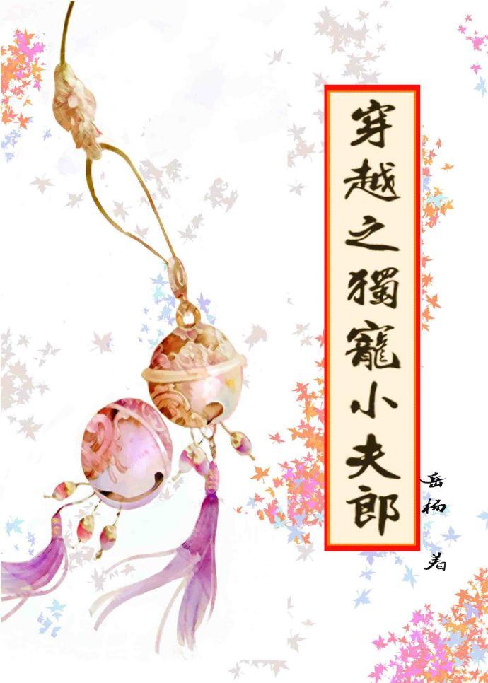 穿越之独宠小夫郎夜悠