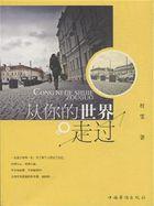 从你的世界路过歌词是什么意思