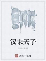 汉末皇子
