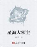 星海领主二改版