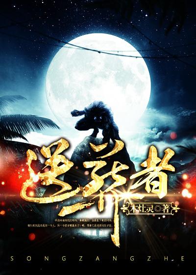 送葬者vs兰迪完整版