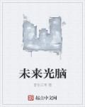 未来光脑使用手册 宴难尽
