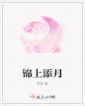 锦上添花下句接什么