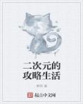 二次元攻略系统