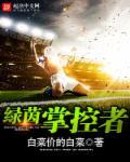 绿茵射手