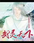 武灵天下元枫女主角有几个