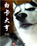 白卡叫什么