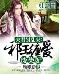 邪王嗜宠废柴王妃要逆天