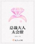 总裁大人撩我全文阅读