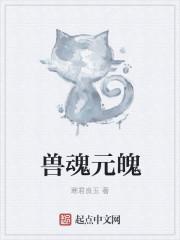 兽魄灵晶有什么用
