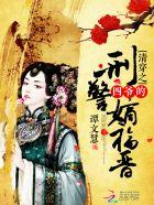 清穿之四爷系列