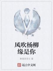 风吹杨柳岸什么歌