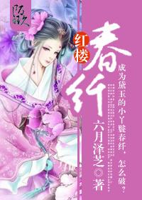 红楼春优书