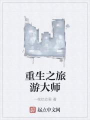 重生之旅行系统