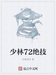 少林72绝技功法