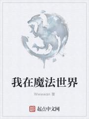 我在魔法世界开发互联网