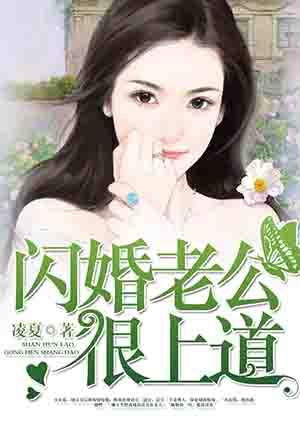 闪婚老公很上道全文免费阅读正版