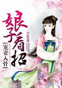 娘子宠夫宋景