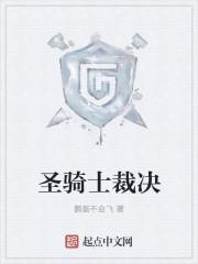 圣骑士审判用什么武器