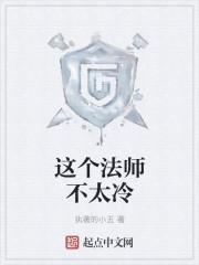 这个法师很危险 起点