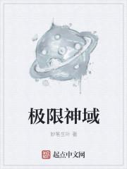 极限神域体系