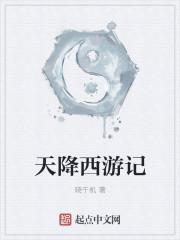 天降奇遇电视剧
