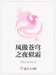 凤唳苍穹全文免费阅读