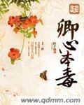 卿本情琛免费阅读全文