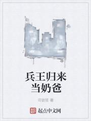 兵王奶爸回乡村