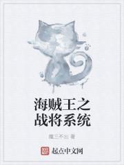 海贼王之海军大将系统