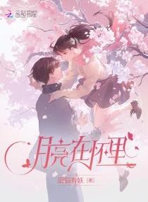 月亮在怀里百度提取码