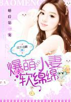 婚后宠霸天价小妻