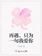 电视剧只为再次遇见你