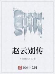 赵云传2攻略(完整版)