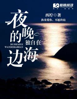 独自在夜晚的海边电影免费观看