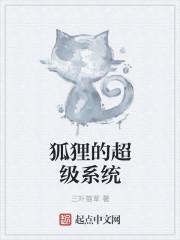 小狐狸的系统