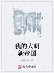 我的大明新帝国介绍