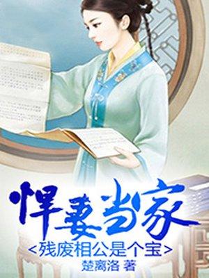 悍妇当家残废老公是个宝